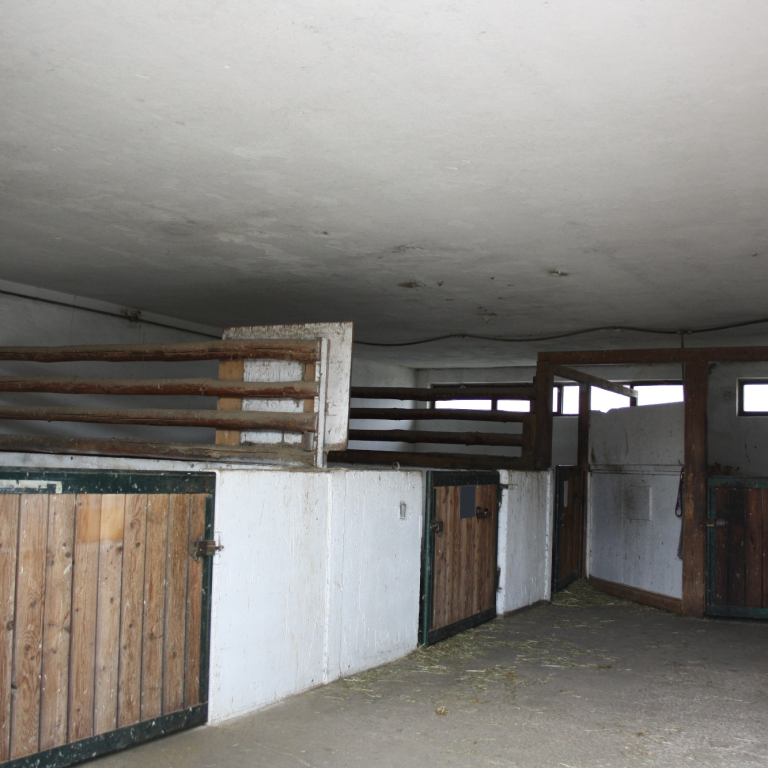 Stallung und Boxen