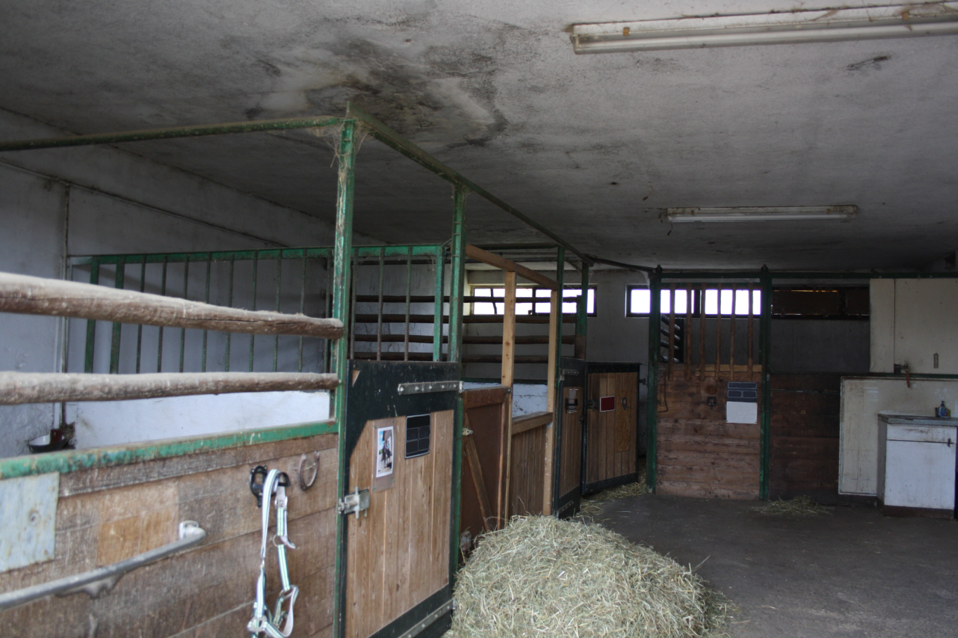 fünf Boxen in einer Stallung