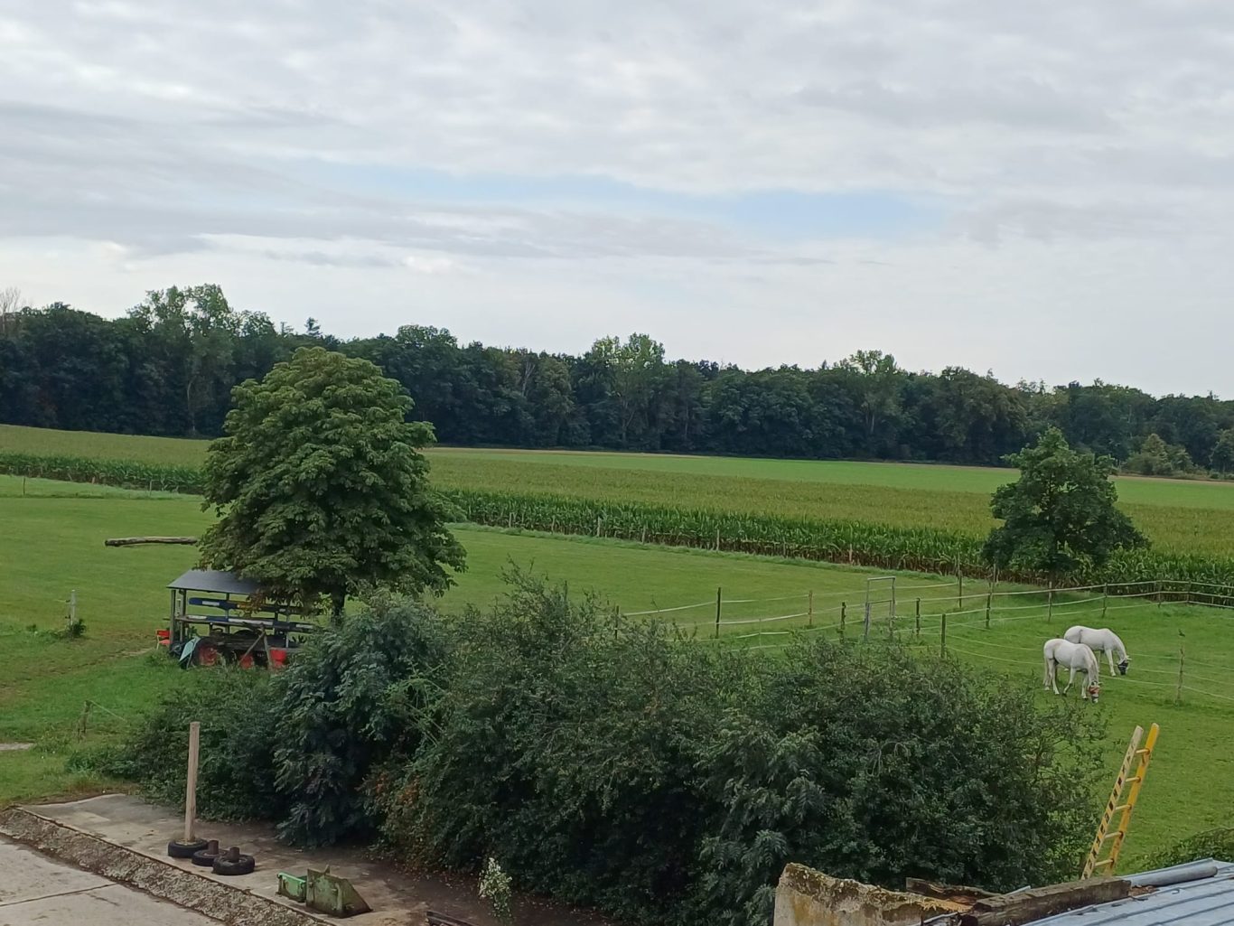 Obenansicht Koppelfläche