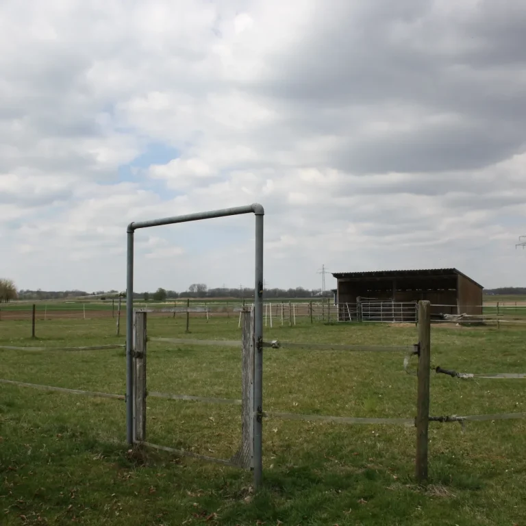 Koppeleingang mit Unterstand