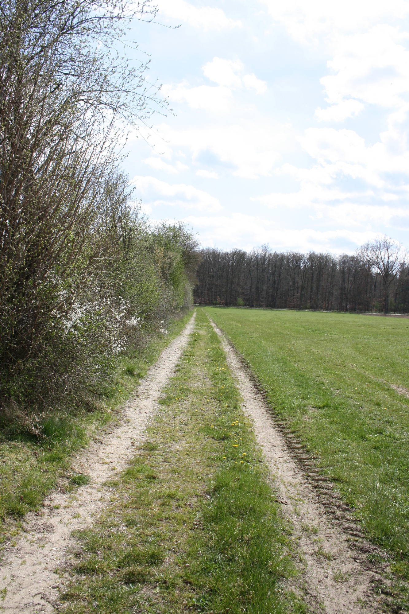 Reitweg zum Gelände